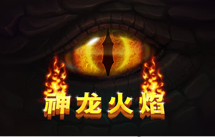 中欧体育vip官网登录网址